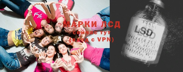 дурь Осташков