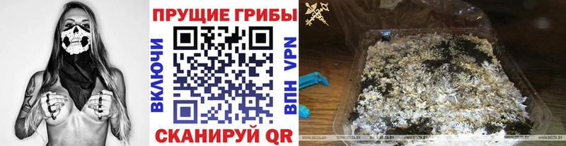 Купить  Армавир  Галлюциногенные грибы Magic Shrooms 